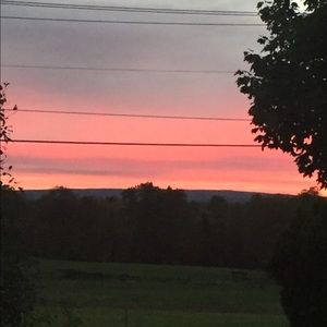 Meet your Posher, Brookie